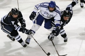 开云体育入口-布克撕裂魔术，公牛重剑无锋的逆袭之夜